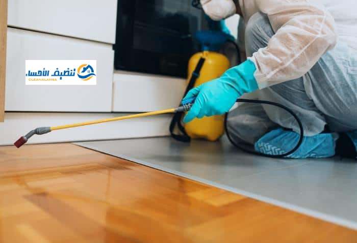 شركة مكافحة حشرات بالاحساء