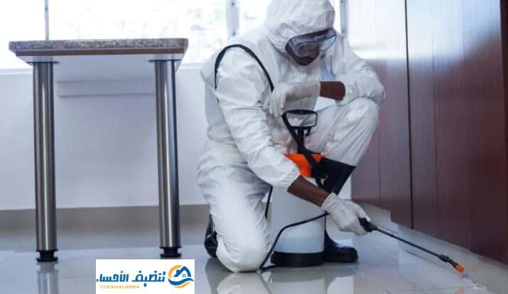 شركة مكافحة حشرات بالاحساء